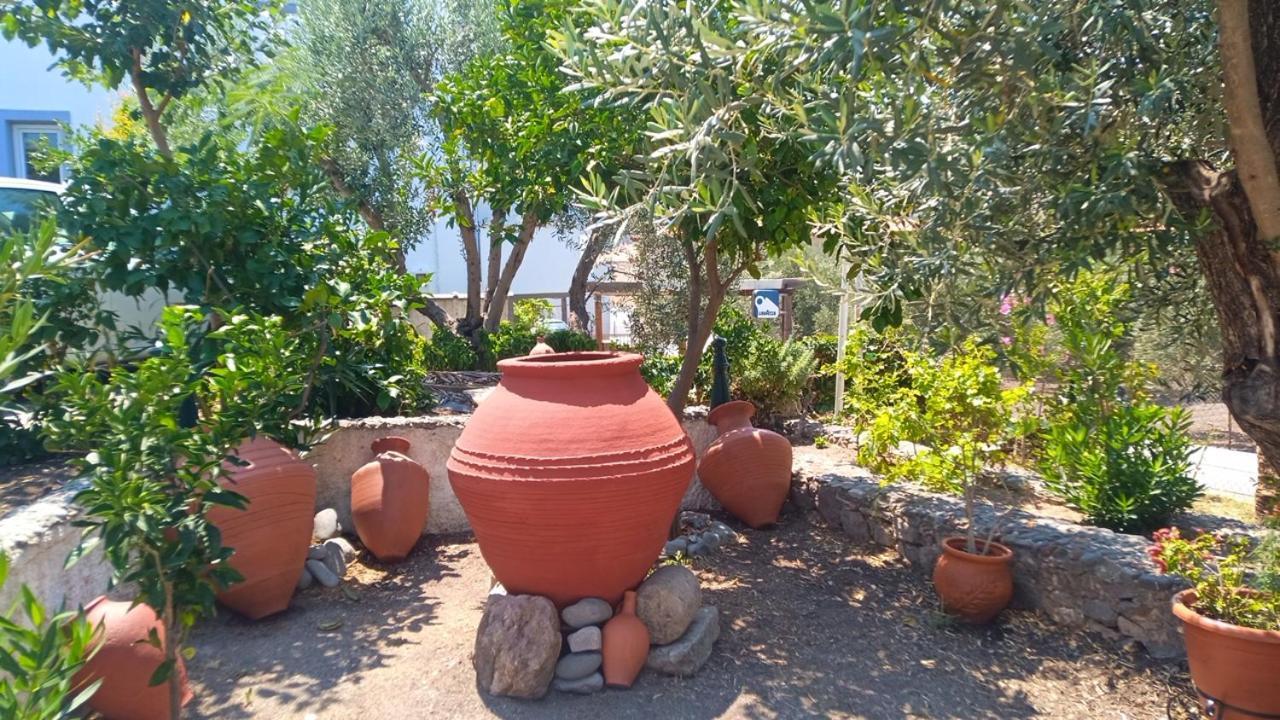 Anessis Cosmos Aparthotel Anaxos Exterior photo