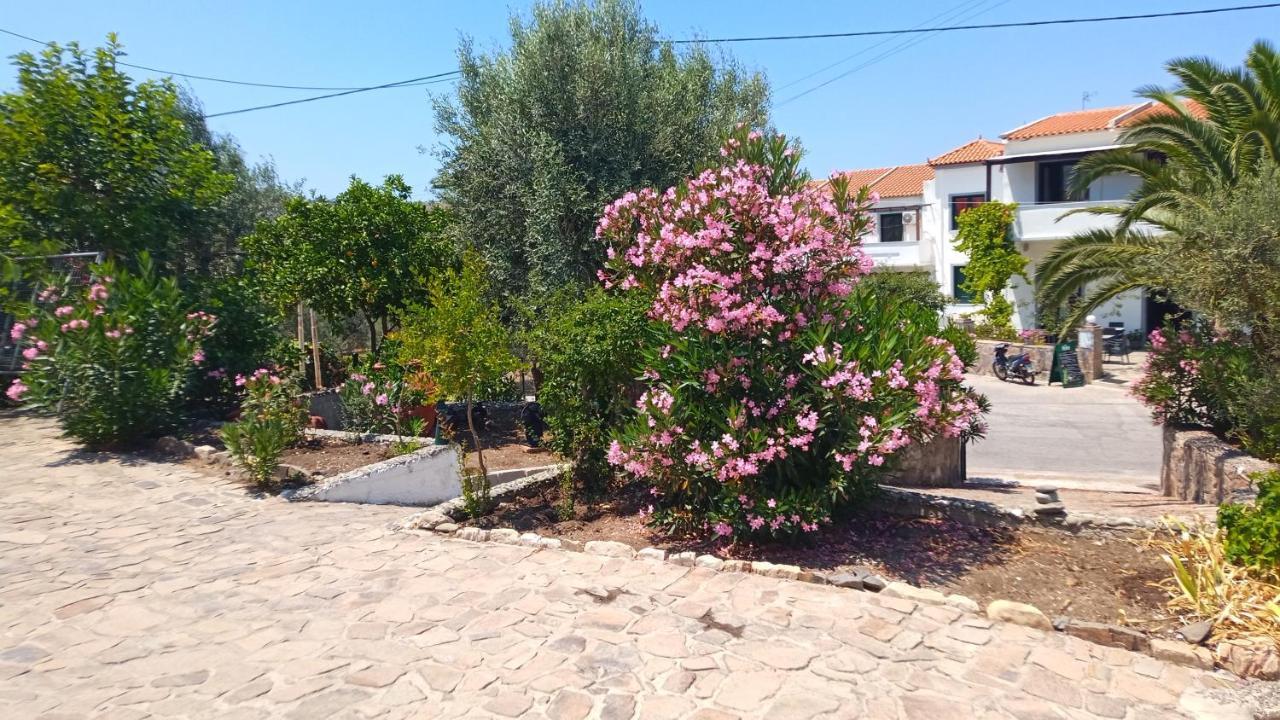 Anessis Cosmos Aparthotel Anaxos Exterior photo
